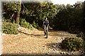 PB211271.JPG