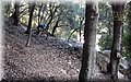 PC101553.JPG