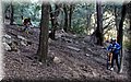 PC101557.JPG