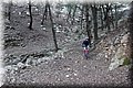 PC101560.JPG