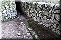 PC101563.JPG