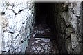 PC101564.JPG