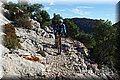 PC101590.JPG