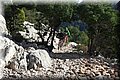 PC101594.JPG