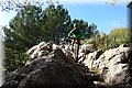 PC101613.JPG