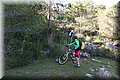 PC101621.JPG