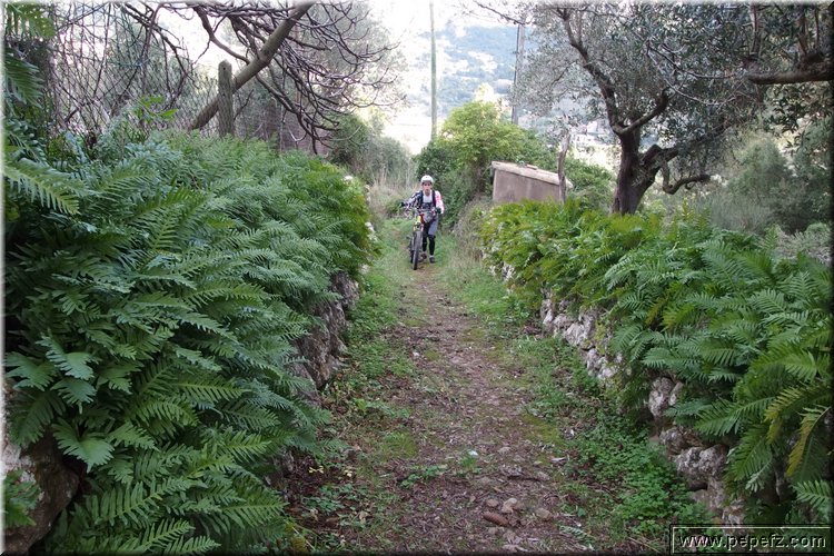 P1170305.JPG