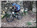 2015_01170025.JPG