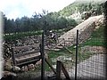 2015_01170073.JPG