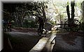 P1170292.JPG