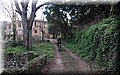 P1170293.JPG