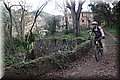 P1170295.JPG