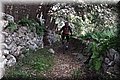 P1170300.JPG
