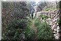 P1170303.JPG