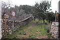 P1170343.JPG