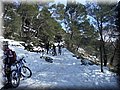 2015_02070047.JPG