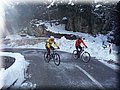 2015_02070059.JPG