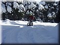 2015_02070086.JPG