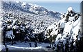 2015_02070091.JPG