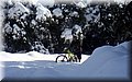 2015_02070092.JPG