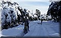 2015_02070094.JPG