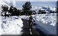2015_02070148.JPG