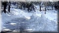 2015_02070150.JPG