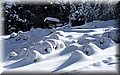 2015_02070155.JPG