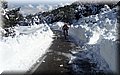 2015_02070156.JPG