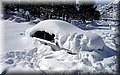 2015_02070172.JPG