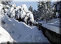 2015_02070196.JPG