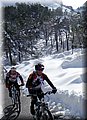 2015_02070203.JPG