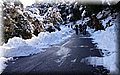 DSC_0059.JPG
