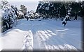 DSC_0064.JPG