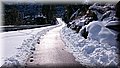 DSC_0070.JPG
