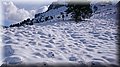 DSC_0087.JPG