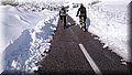 DSC_0101.JPG