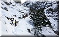 DSC_0104.JPG