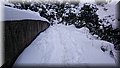 DSC_0105.JPG