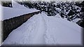 DSC_0107.JPG