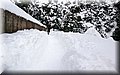 DSC_0109.JPG