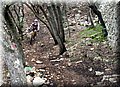 2015_02210027.JPG