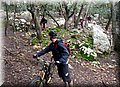2015_02210068.JPG