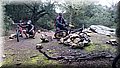 DSC_0154.JPG