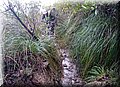 DSC_0166.JPG