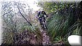 DSC_0167.JPG