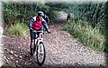 DSC_0181.JPG
