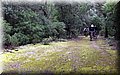 P2210473.JPG