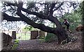 P2210487.JPG