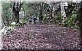 P2210503.JPG